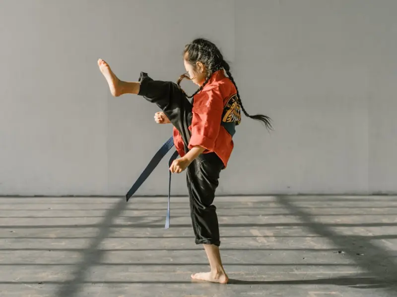 Karate Infantil — Karate Shidokan