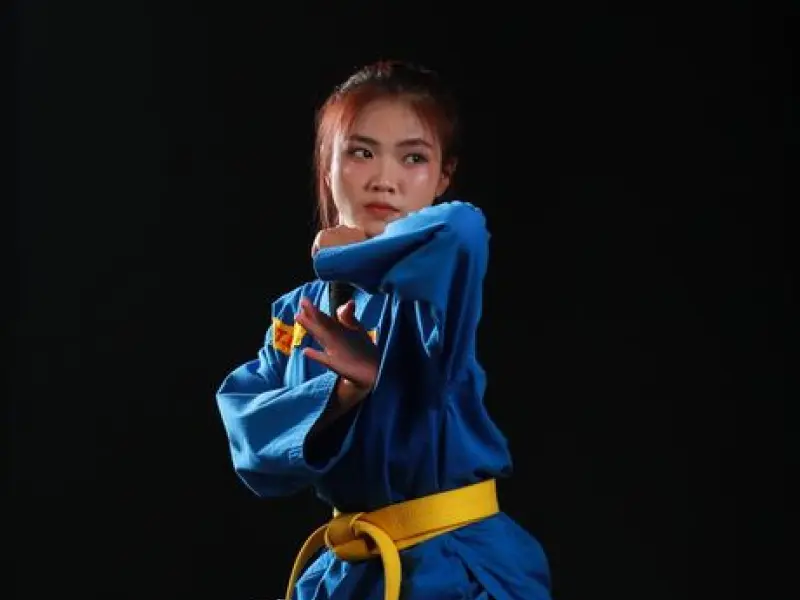 Karate Misto — Karate Shidokan